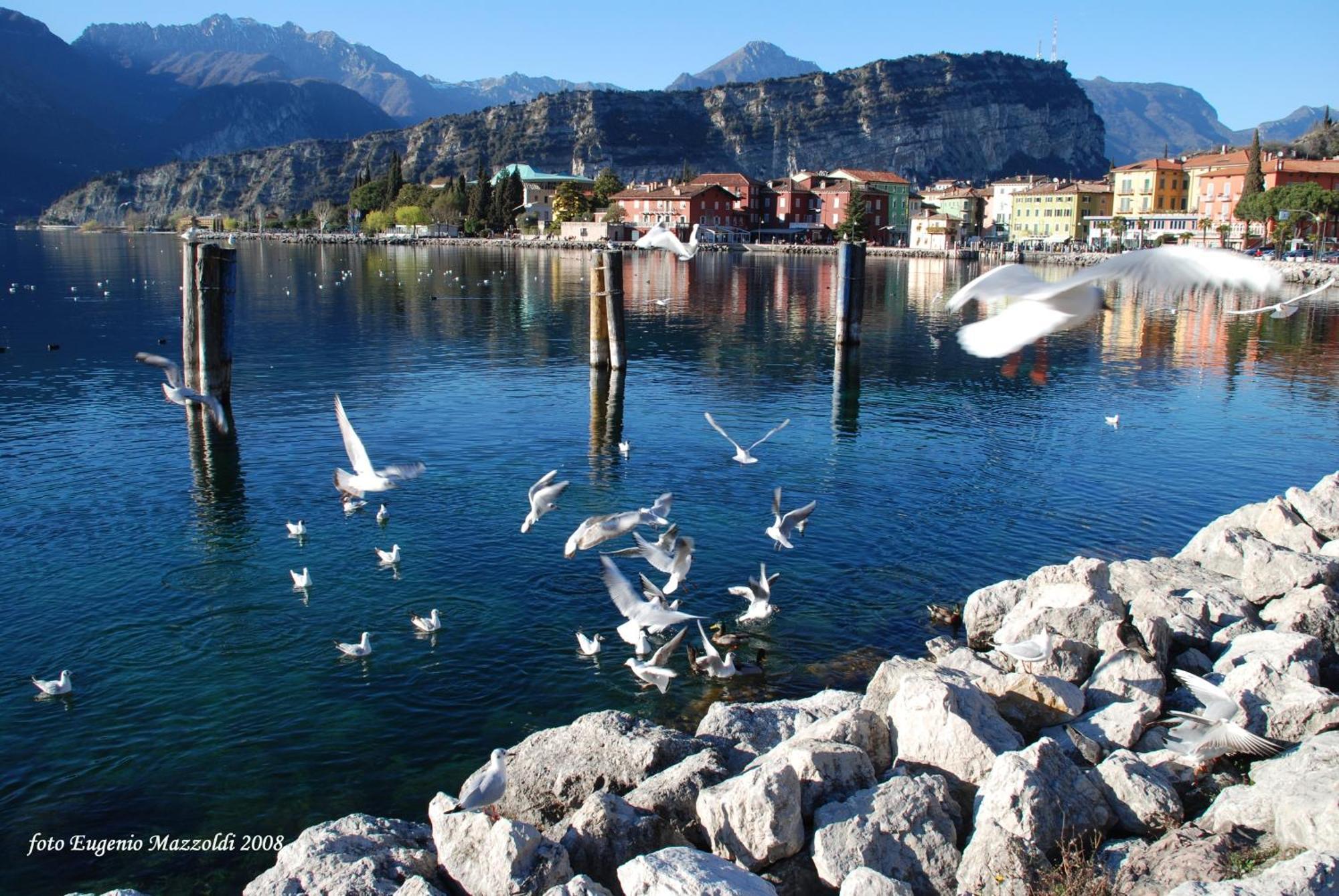 Appartamento Casa Marco Torbole Sul Garda Esterno foto